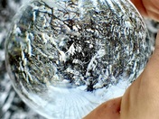 Walking in the snow trails