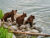 Katmai National Park and Preserve