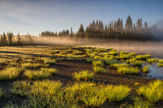Willamette National Forest