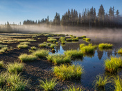 Willamette National Forest
