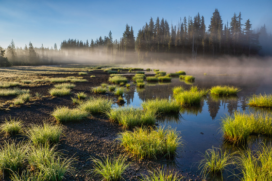 Willamette National Forest