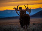 Grand Teton National Park