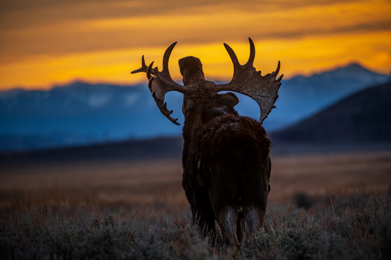 Grand Teton National Park