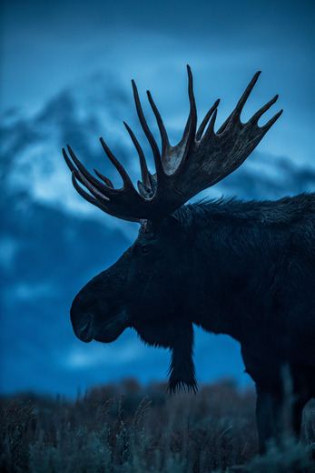 Grand Teton National Park