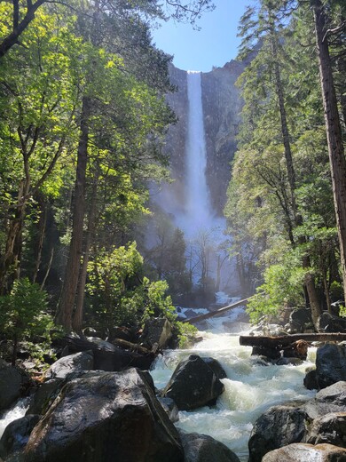 Yosemite National Park