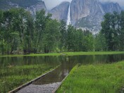 Yosemite National Park