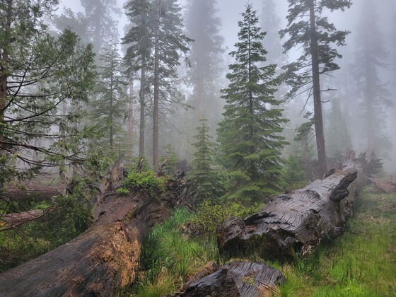 Yosemite National Park
