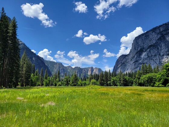 Yosemite National Park