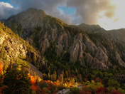 Uintah-Wasatch-Cache National Forest