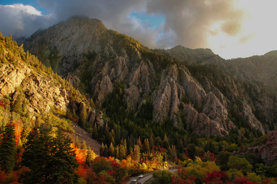 Uintah-Wasatch-Cache National Forest