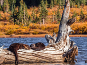 Brainard Recreational area