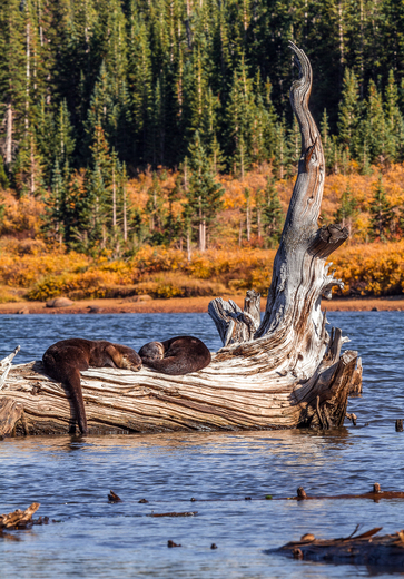 Brainard Recreational area