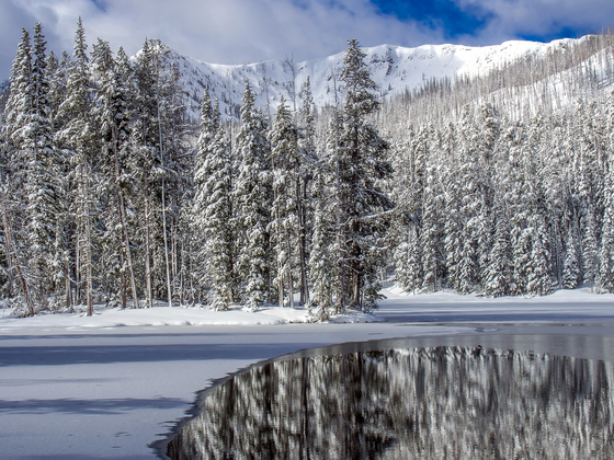 Yellowstone National Park