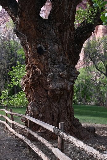 Capital Reef National Park