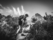 Big Bend National Park