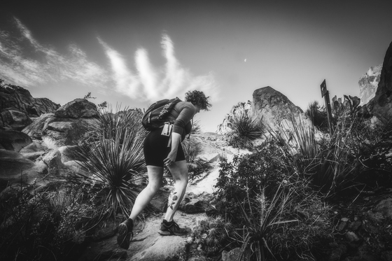 Big Bend National Park