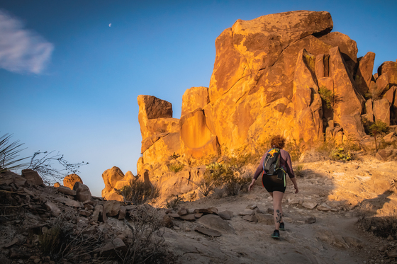 Big Bend National Park