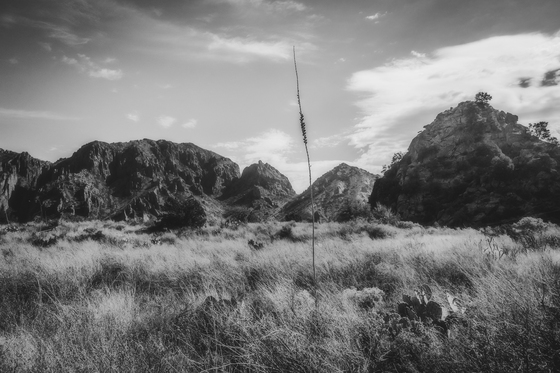 Big Bend National Park