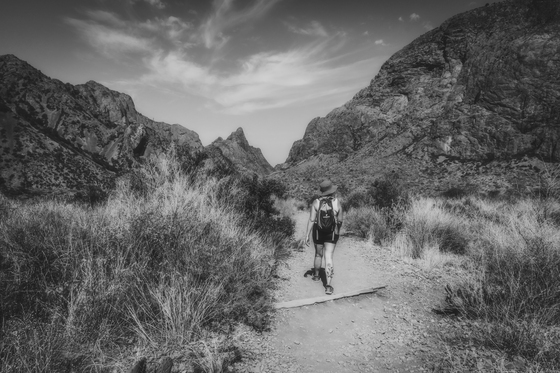 Big Bend National Park