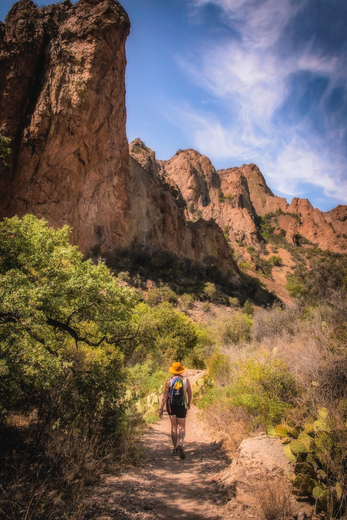 Big Bend National Park