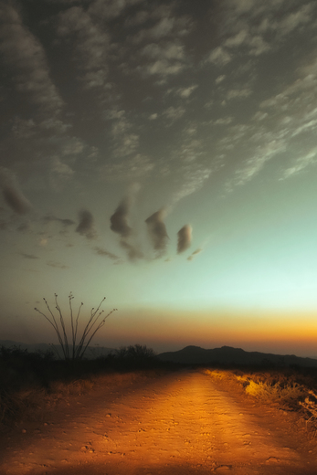 Big Bend National Park