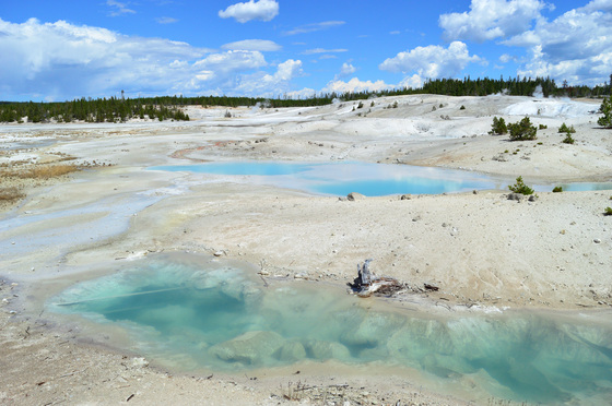 Yellowstone National Park