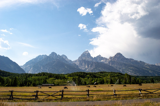 Grand Teton National Park