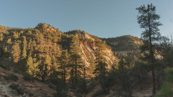 Zion National Park