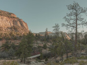 Zion National Park