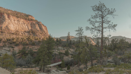 Zion National Park