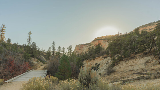 Zion National Park