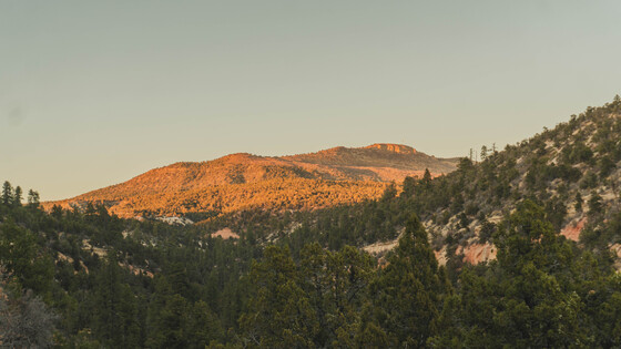 Zion National Park