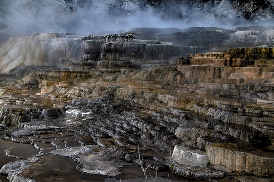 Yellowstone National Park