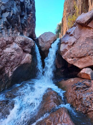 Tonto National Forest