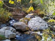 Coconino National Forest