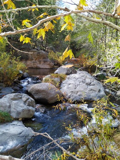 Coconino National Forest
