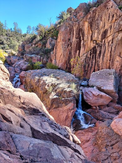 Tonto National Forest
