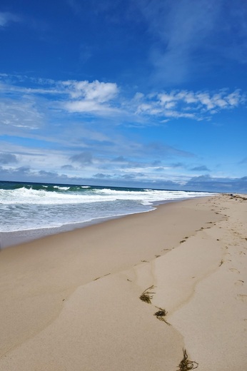 Cape Cod National Seashore