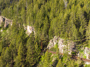 Cache National Forest