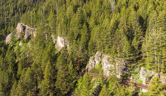 Cache National Forest