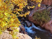 Tonto National Forest
