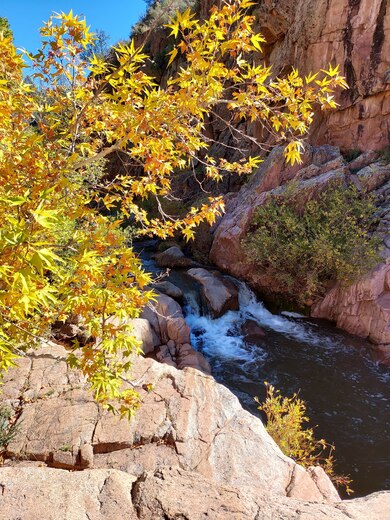 Tonto National Forest