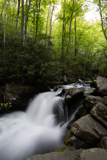 Great Smoky Mountains National Park
