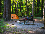 Great Smoky Mountains National Park