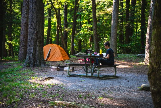 Great Smoky Mountains National Park