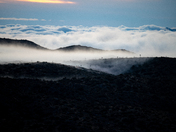 Joshua Tree National Park