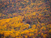 Shenandoah National Park
