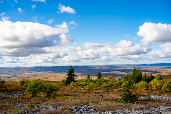 George Washington National Forest