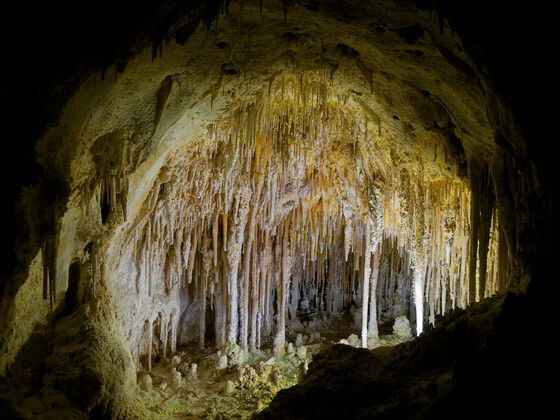 Carlsbad Caverns