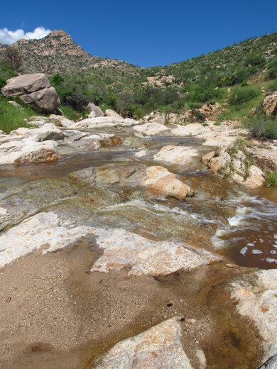BLM, Safford Field Office